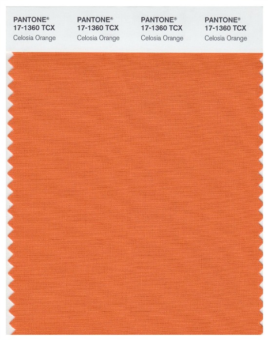 Pantone-Celosia-Orange