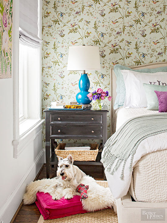 Designer Rooms With The Wow And The Woof Factor For National