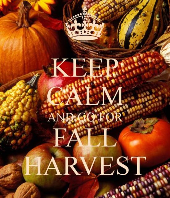 keep-calm-fall-harvest