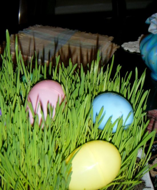 living grass Easter basket