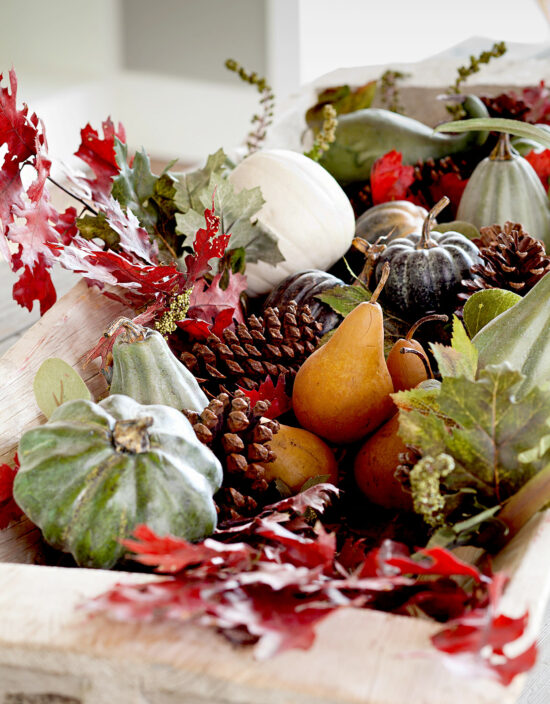 fall-arrangement-fruits-pinecones-leaves-gourds-photo-Edmund-Barr