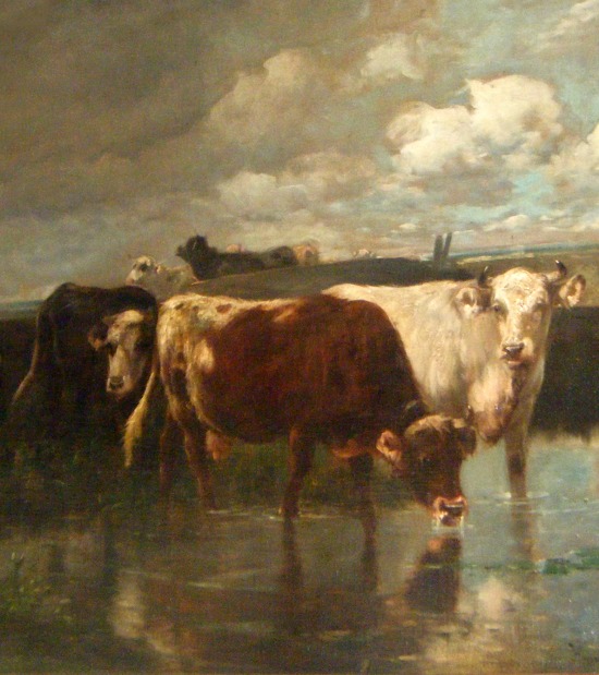 cow-oil-on-canvas