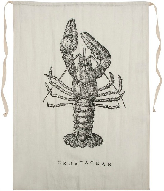 Crustacean Bib design by Sir/Madam