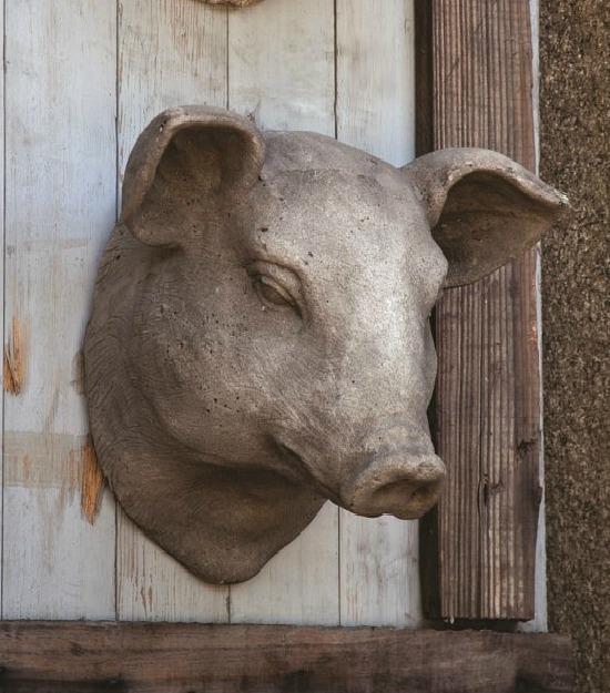 pig head wall mount