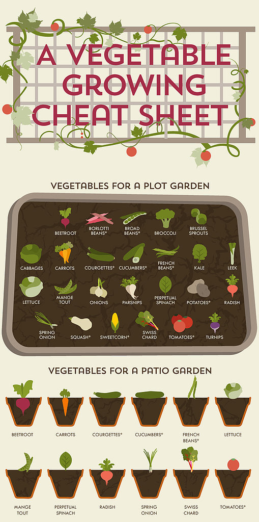 Home and Garden: How Does Your Summer Vegetable Garden Grow? — Places