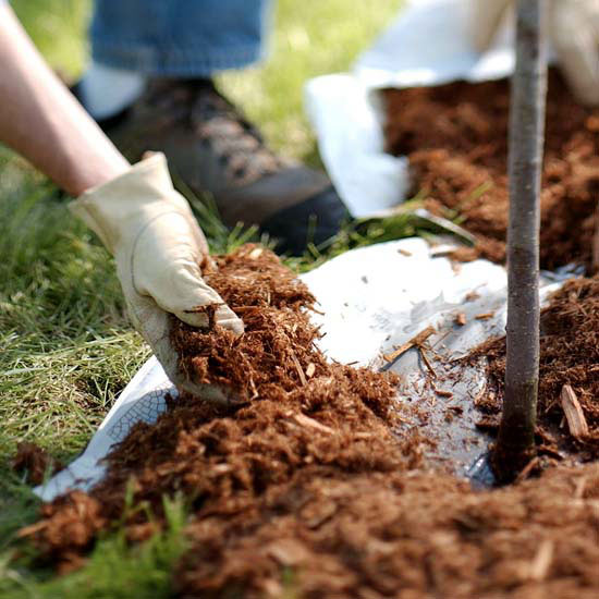how-to-mulch