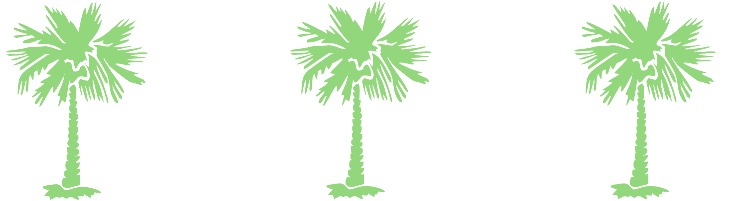 lilly-palm-tree