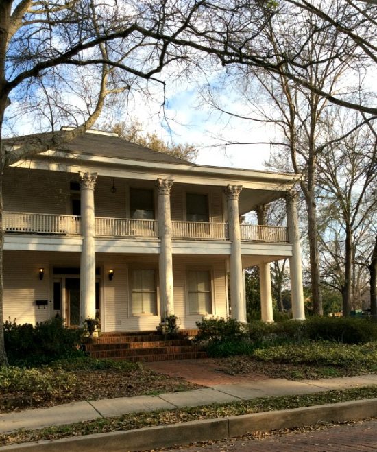 houses of the historic Garden District