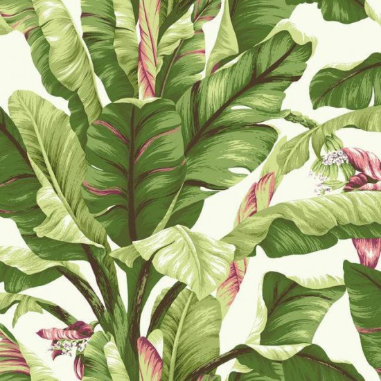Banana_Leaf_Wallpaper_in_Green_and_Pink_design_by_York_Wallcoverings_aa448458-675c-428d-ad2a-0baa567e685a_2048x2048