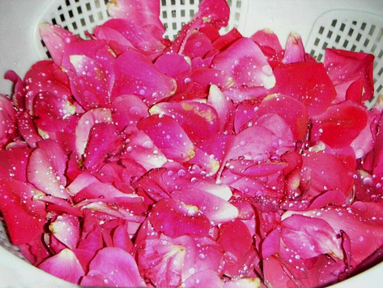 fresh-rose-petals