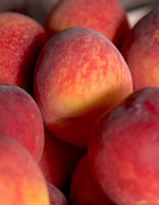picked-fresh-peaches