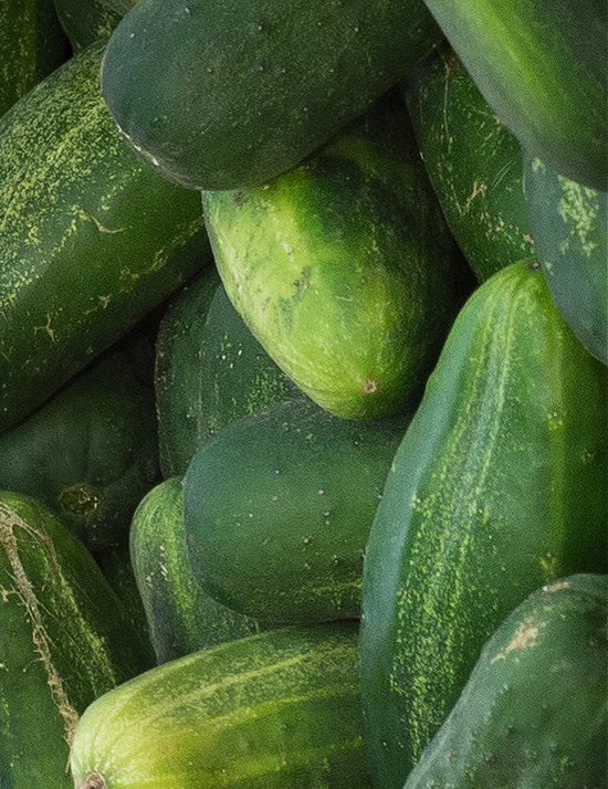 cucumbers-at-market