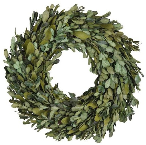 12" Preserved Natural Boxwood Leaf Christmas Wreath by Ashland
