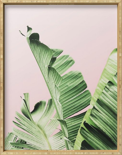 Banana Leaf on pink Serving Tray by Mydream 