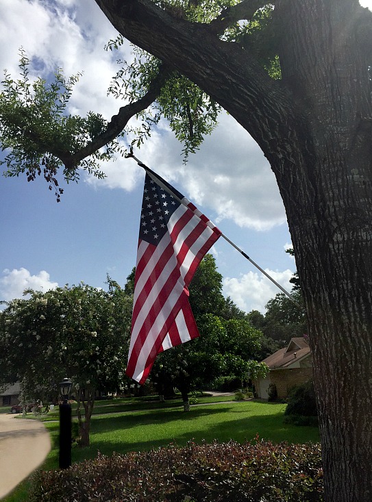 American-flag-displayed-in-tree