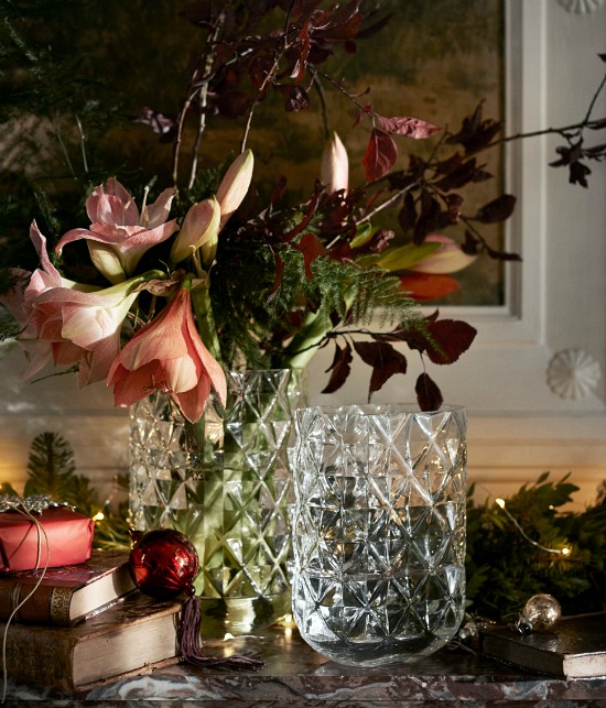 Christmas-amaryllis-vase