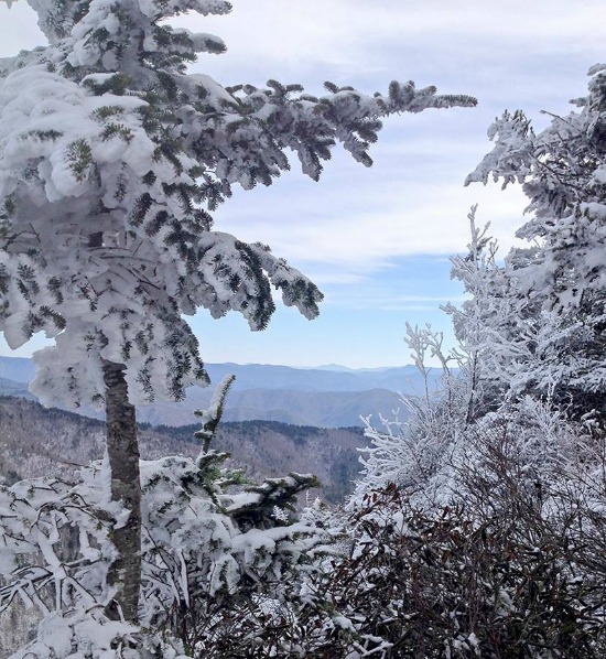 Snow-Great-Smoky-Mountains-National-Park