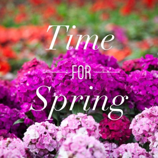 time for spring