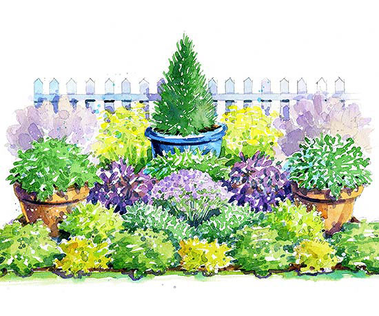 colorful-herb-garden