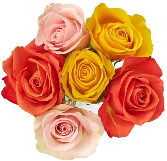 orange-yellow-light-pink-roses