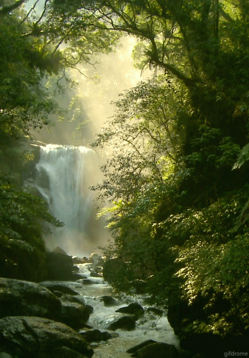 Beautiful-Waterfall-Gif