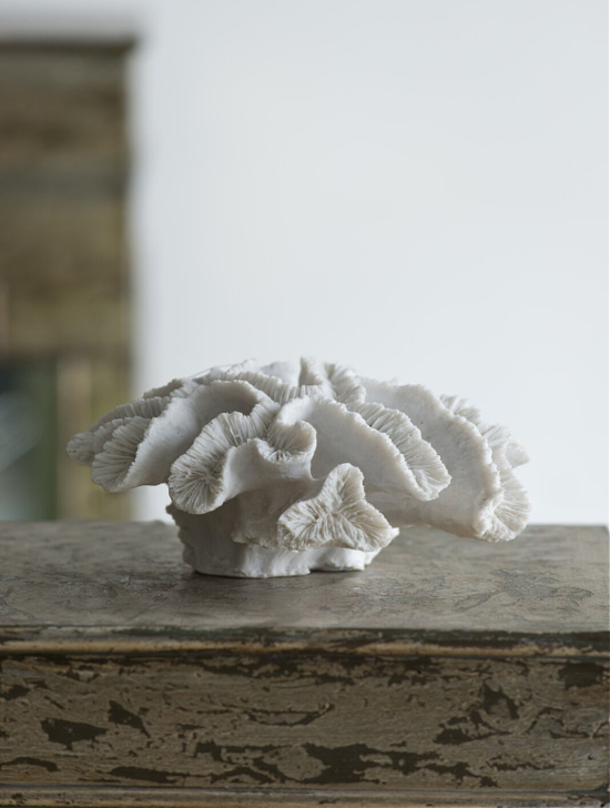 Decorative Palancar Coral Table Décor Figurine