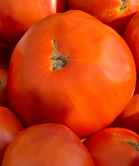 fresh-tomatoes-summer