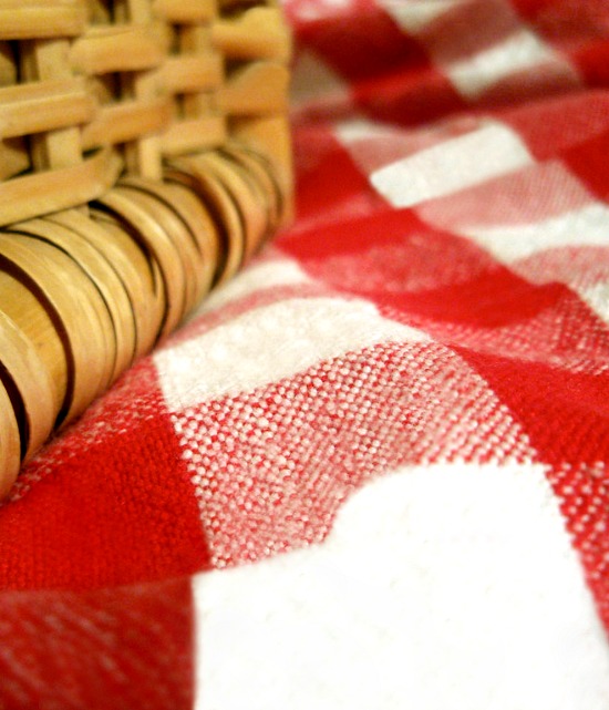 picnic basket blanket red white