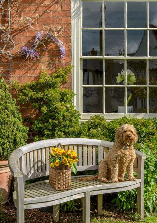 dog-garden-Country-Homes-Interiors-Magazine