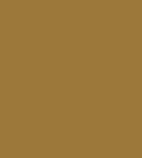 persian-gold-behr-premium-plus-paint-colors