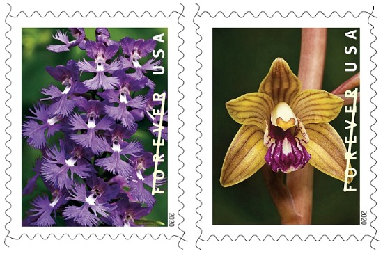 Orchid-USPS-stamps-2020