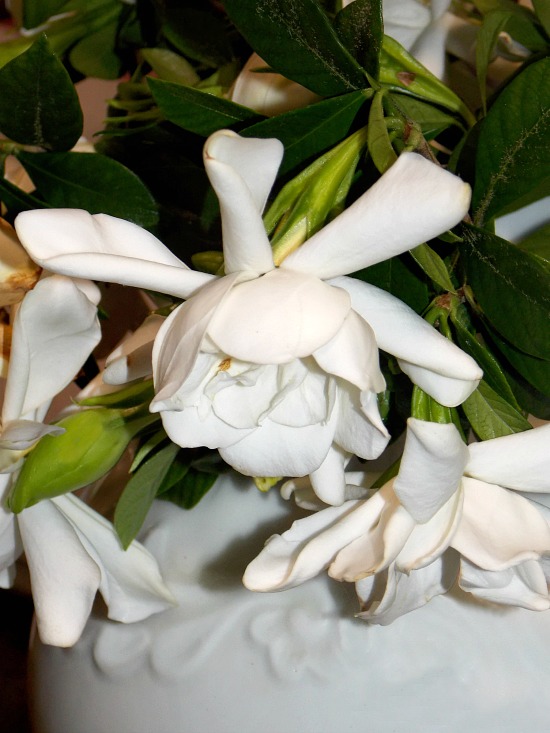 Mother's-Day-gardenia-bouquet