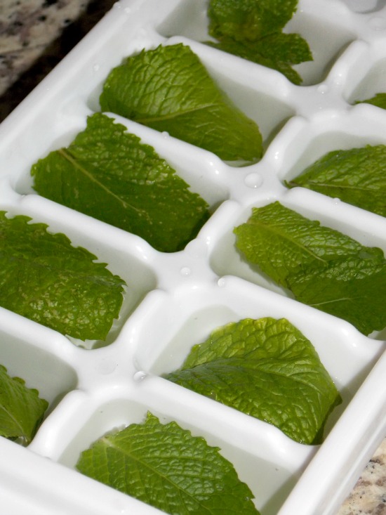 fresh mint ice cubes