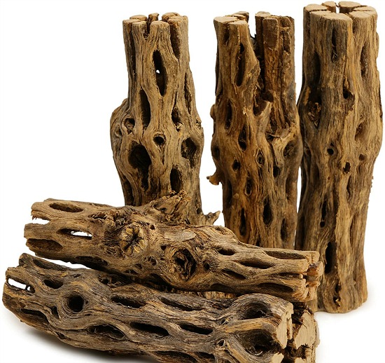5 Pieces of 5-6" Long Natural Cholla Wood