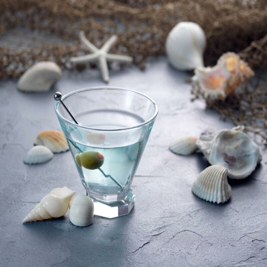 Halli 8 oz. Crystal Martini Glass (Set of 2)