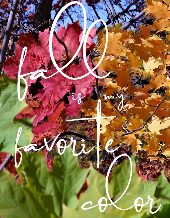 fall-is-my-favorite-color-blog