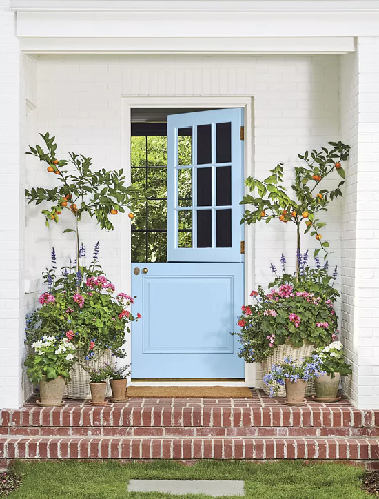 blue-Dutch-door-spring