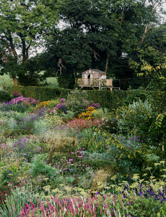 color-rich-English-cottage-garden