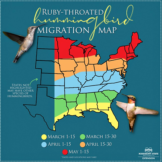 hummingbird-map (1)