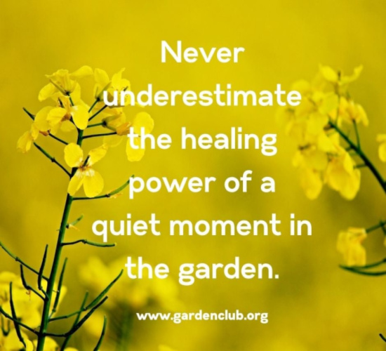 never-underestimate-the-healing-power-of-a-quiet-moment-in-the-garden