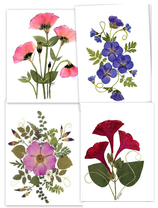 Pressed flower notecards, set of 6 assorted cards, blank notecards