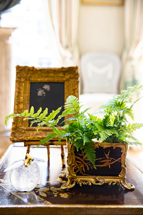Charlotte-Moss-fern-leaves-in-container