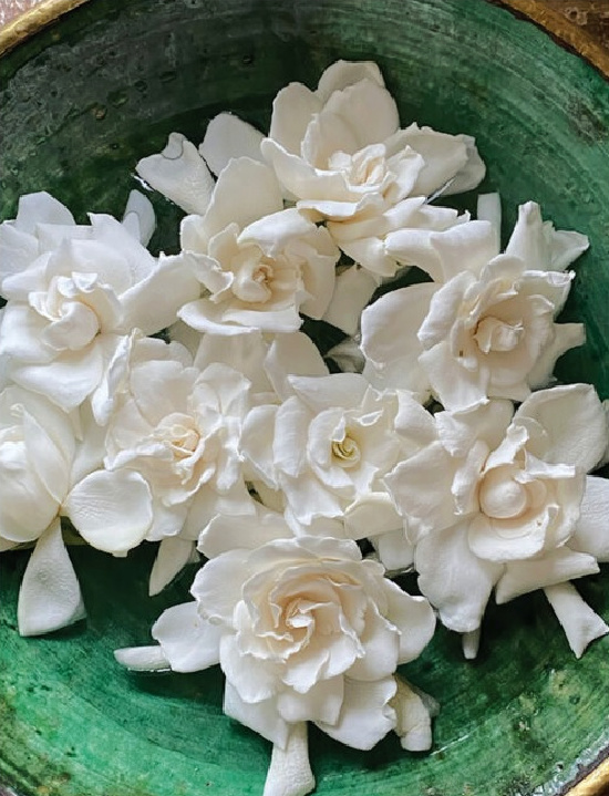 gardenias-in-green-bowl