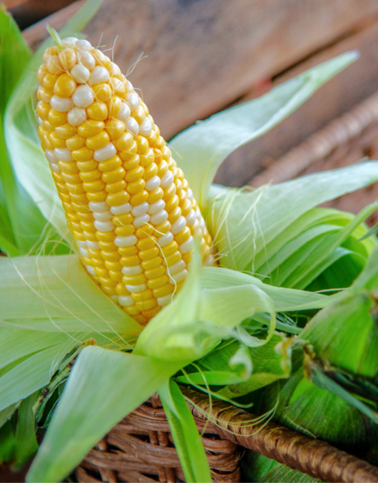 corn-fresh-cob