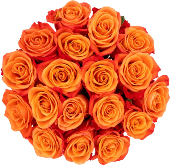 orange-roses-bouquet