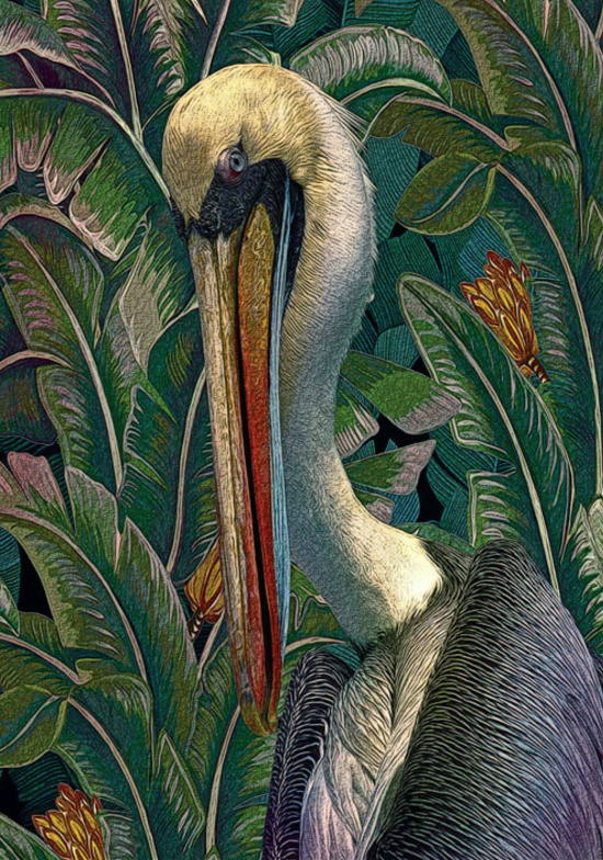 Primal+Pelicana