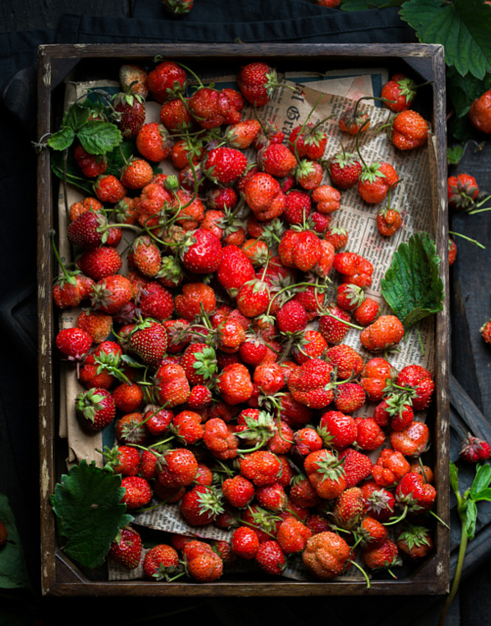 strawberries-in-season
