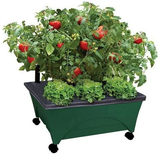 Patio Raised Garden Bed Grow Box Kit with Watering System and Casters in Evergreen