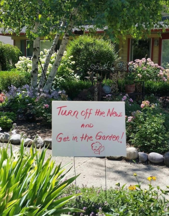 turn-off-the-news-and-get-in-the-garden