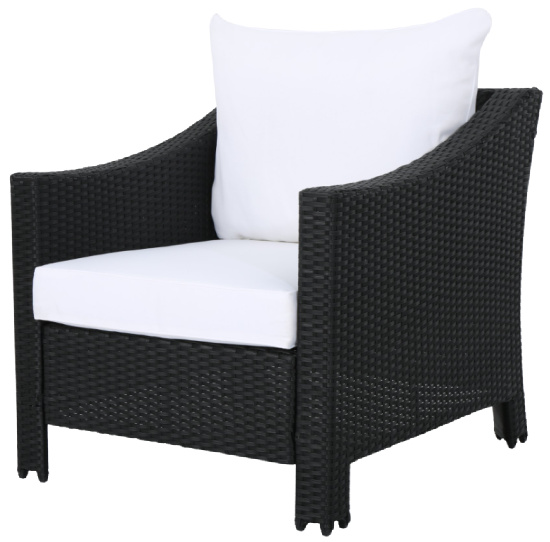 Antibes Set of 2 Wicker Club Chair with Cushions - Christopher Knight Home